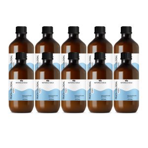 kit-10-garrafas-prata-500ml